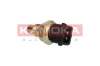 4080051 Kamoka
