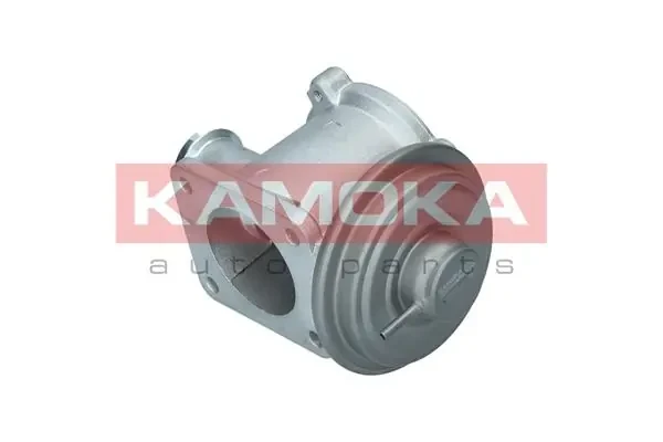 19062 Kamoka