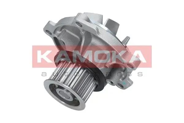 Bomba de água (bomba) de esfriamento Chrysler Voyager 3 RG, RS