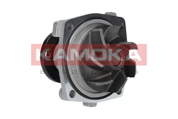 T0011 Kamoka