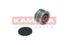RC115 Kamoka
