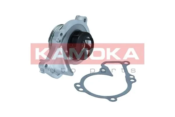 T0295 Kamoka
