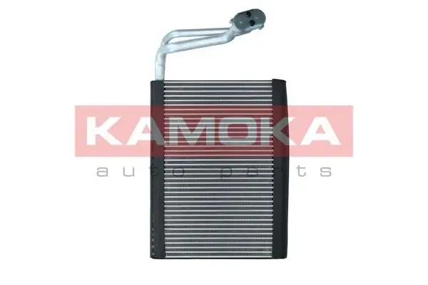Vaporizador de aparelho de ar condicionado BMW 1 F20