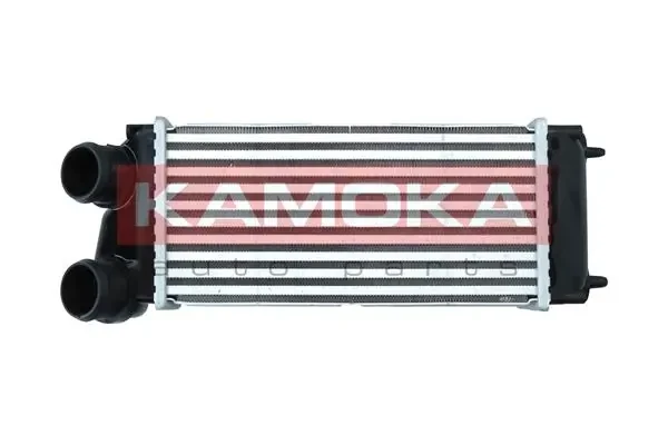 7750093 Kamoka