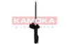 2000223 Kamoka