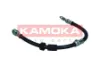 1170224 Kamoka