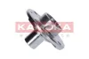 5500103 Kamoka