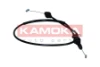 116049 Kamoka