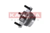 5500047 Kamoka