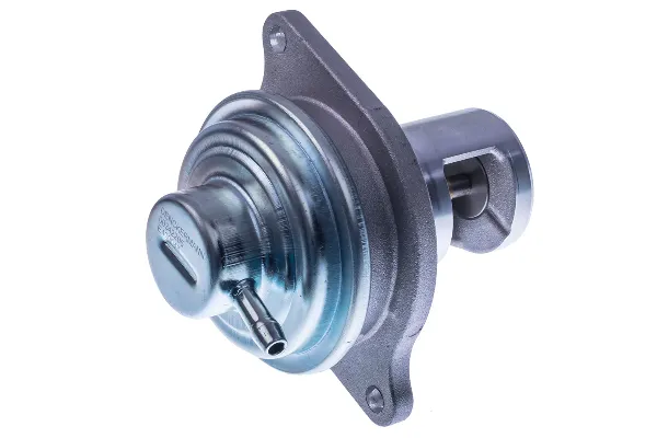 Válvula EGR de recirculação dos gases E400046 Denckermann