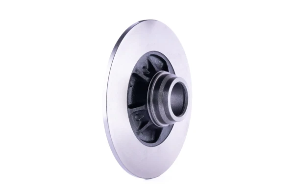Disco do freio traseiro para Renault 19 (S53)