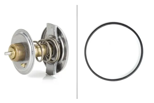 Termostato Mercedes ML/GLE W163