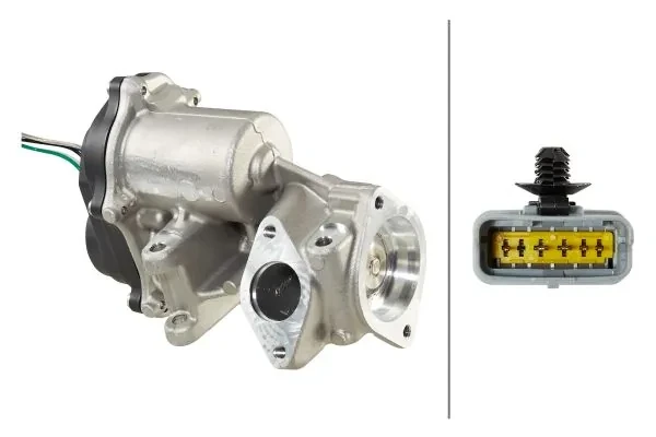 Válvula EGR de recirculação dos gases para Land Rover Range Rover (L322)