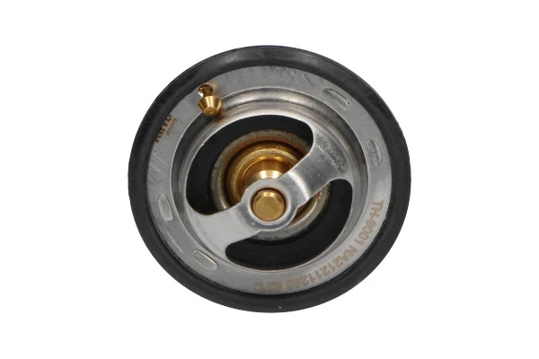 TH9001 Kavo Parts termostato