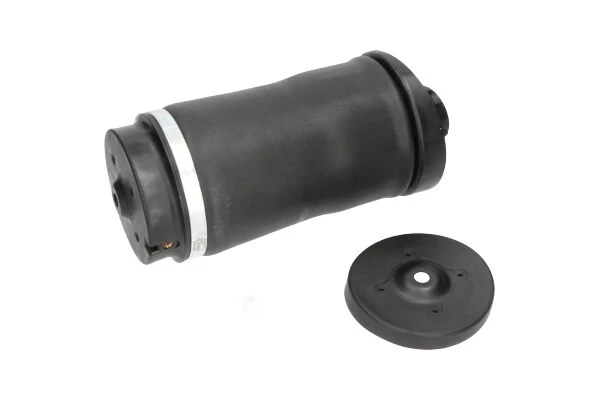 SAS10018 Kavo Parts