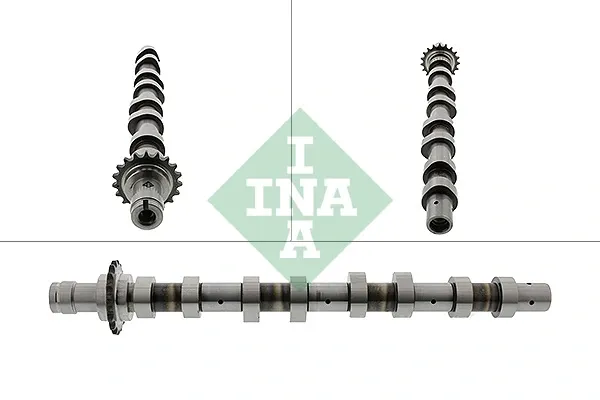 428011910 INA