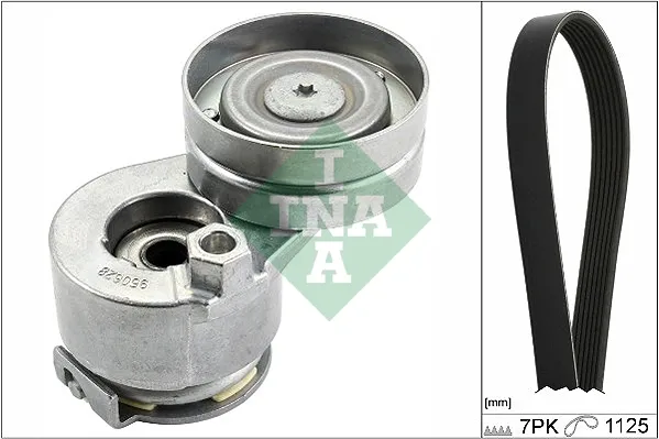 Correia dos conjuntos de transmissão, kit 529008810 INA