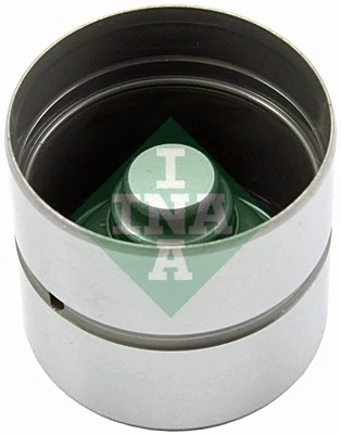 420010510 INA