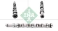 428018310 INA