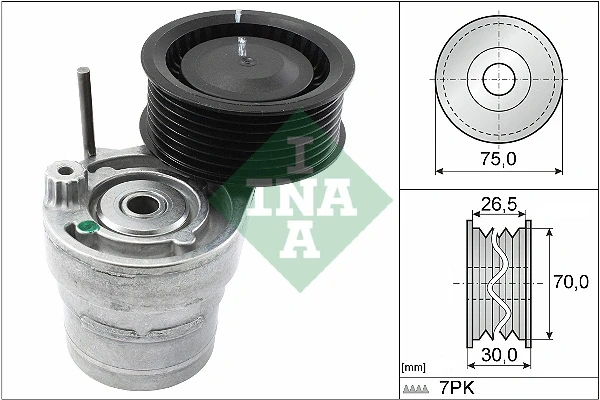534060310 INA