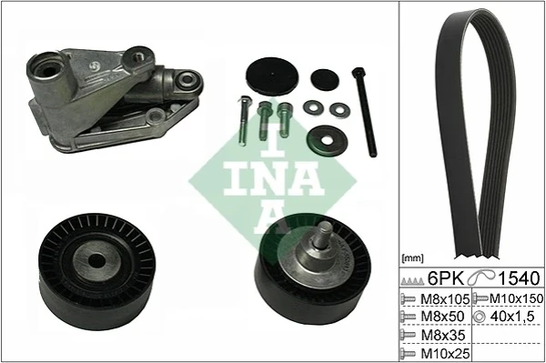 529019810 INA