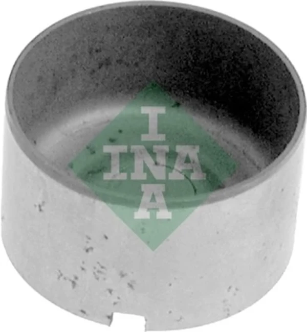421003510 INA