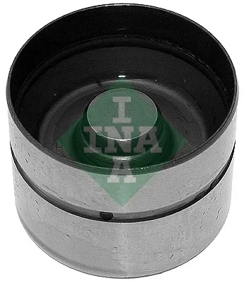 420004310 INA