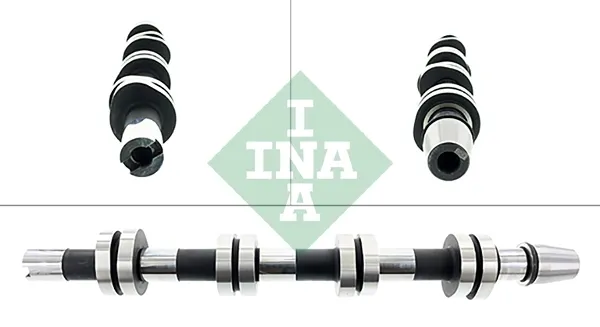 428012110 INA