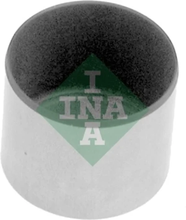 421002910 INA