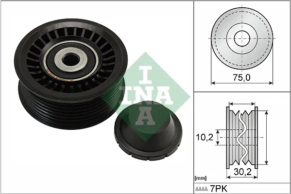 Rolo parasita da correia de transmissão 532066810 INA