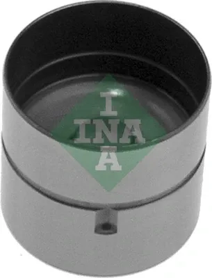 420000110 INA