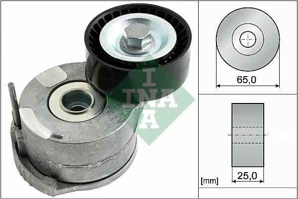 534040310 INA