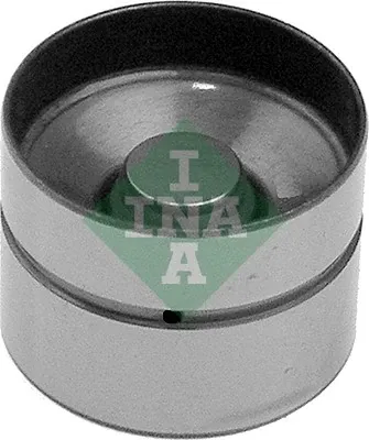420002210 INA