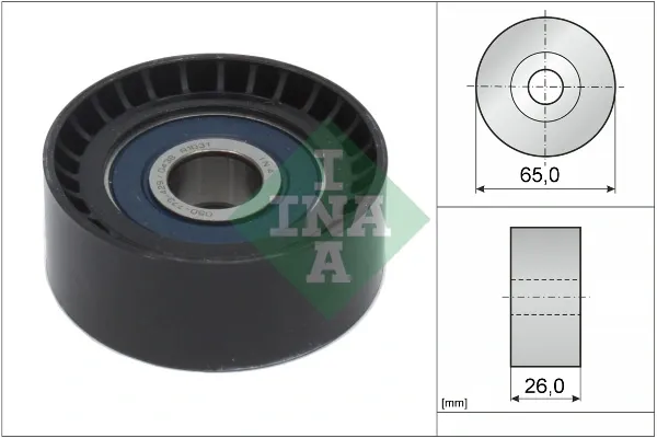 Rolo parasita da correia de transmissão 532066610 INA