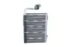 Vaporizador de aparelho de ar condicionado BMW X3 F25