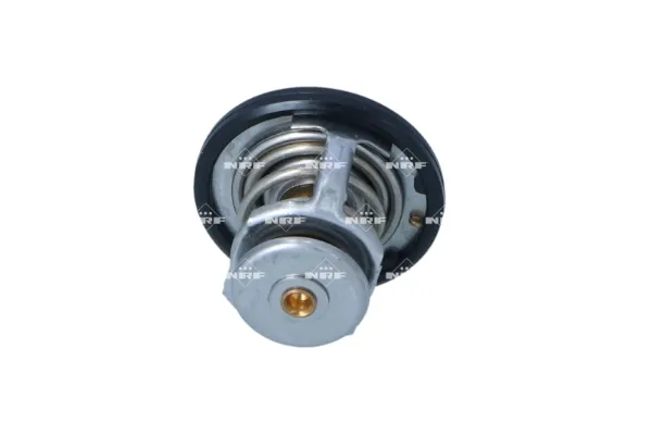 Termostato Nissan Sunny 3 Y10