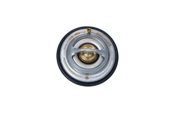 Termostato 725063 NRF