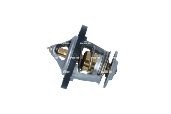 Termostato para Nissan Terrano (WD21)