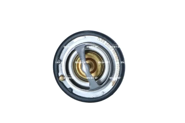 Termostato Nissan Sunny 3 Y10