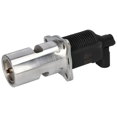 Válvula EGR de recirculação dos gases 90083 Birth