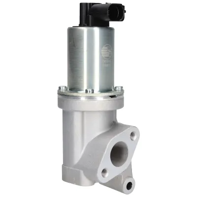 Válvula EGR de recirculação dos gases 90096 Birth