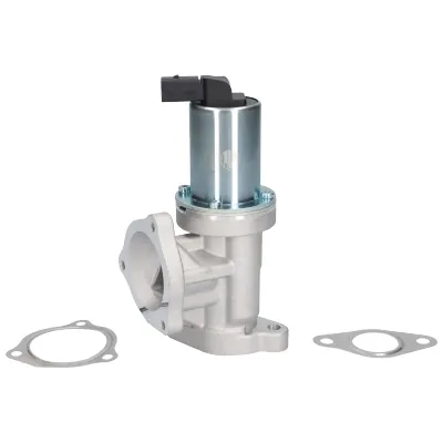 Válvula EGR de recirculação dos gases 90022 Birth