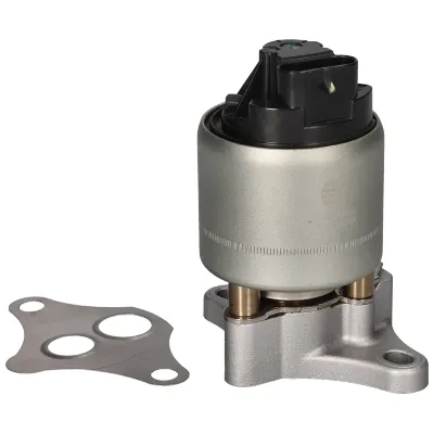 Válvula EGR de recirculação dos gases 90006 Birth