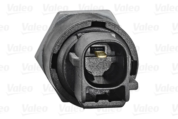255100 VALEO