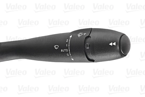 251491 VALEO