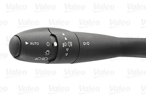 251491 VALEO