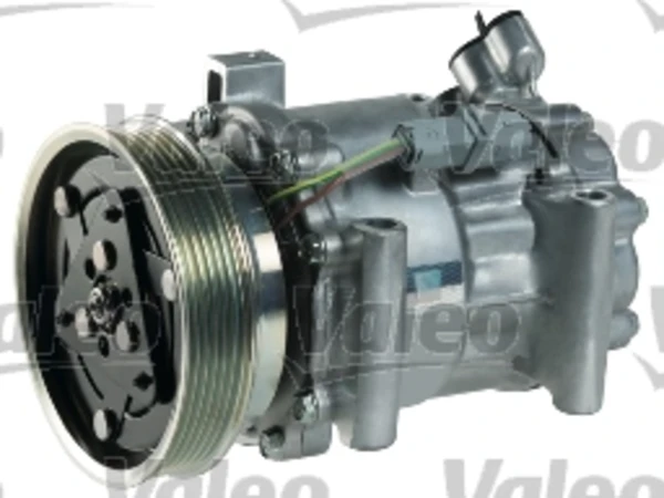 813131 VALEO