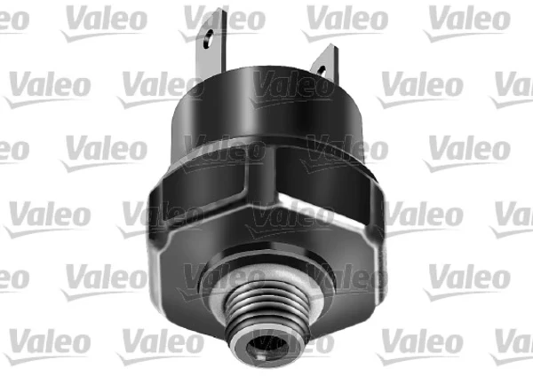 508819 VALEO