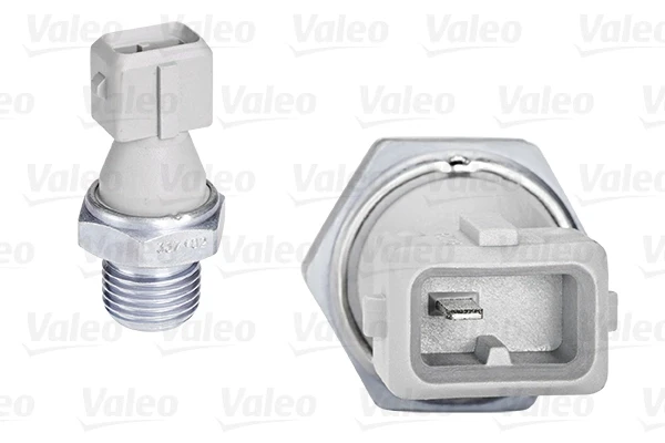255101 VALEO