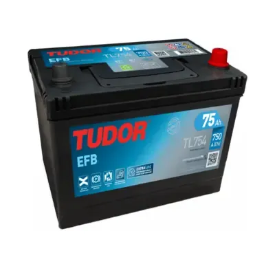 Bateria recarregável (PILHA) TL754 Tudor